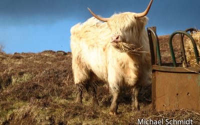 Hallo, das ist mein Beitrag