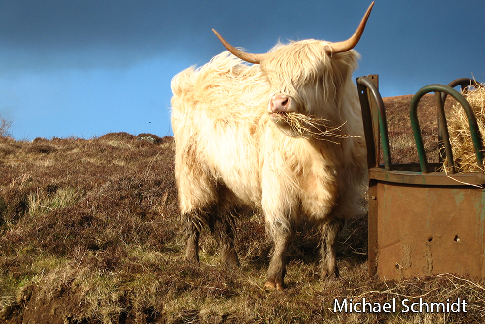 Hallo, das ist mein Beitrag